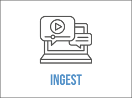 Ingest